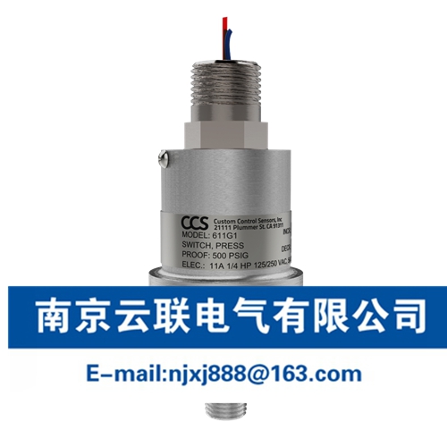 CCS真空開(kāi)關(guān)611V